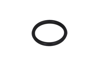 Прокладка, впускной коллектор KAMOKA 8704008