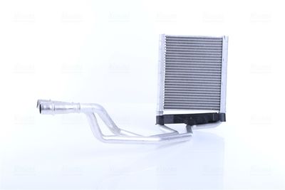 Siltummainis, Salona apsilde NISSENS 707211