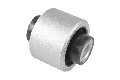 Piekare, Šķērssvira TEDGUM 00506279