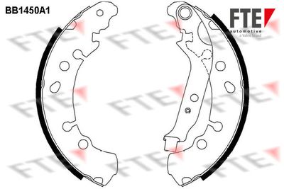 Bremžu loku komplekts FTE 9100172