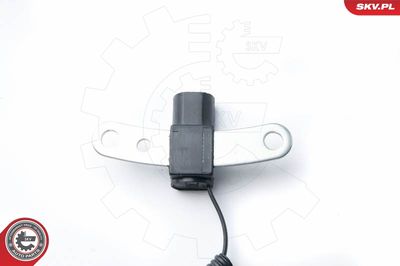Датчик импульсов ESEN SKV 17SKV316