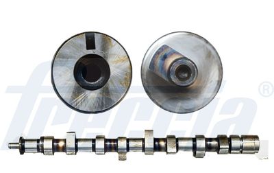 Sadales vārpsta FRECCIA CM05-2167