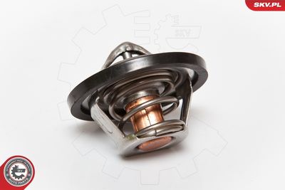 Termostats, Dzesēšanas šķidrums ESEN SKV 20SKV015