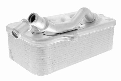 Eļļas radiators, Automātiskā pārnesumkārba VEMO V15-60-0011