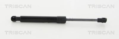 Gāzes atspere, Bagāžas/Kravas nodalījuma vāks TRISCAN 8710292035