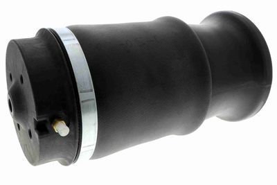 Pneimoatspere, Balstiekārta VEMO V30-50-0021