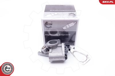 Клапан возврата ОГ ESEN SKV 14SKV165