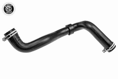 Шланг радиатора VAICO V210044