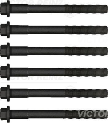 Klapikaanekruvikomplekt VICTOR REINZ 14-32284-01