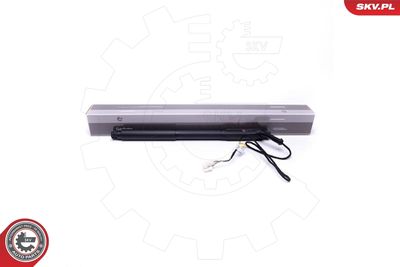 Электромотор, задняя дверь ESEN SKV 52SKV928