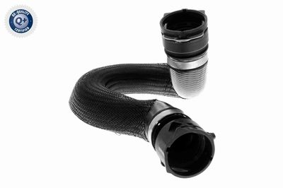 Шланг радиатора VAICO V104283