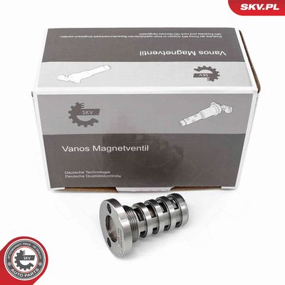 Регулирующий клапан, выставление распределительного вала ESEN SKV 39SKV067