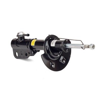 Amortizators Arnott SK-2952