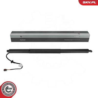 Электромотор, задняя дверь ESEN SKV 52SKV886