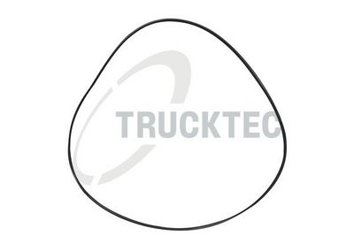 Уплотнительное кольцо, трубка охлаждающей жидкости TRUCKTEC AUTOMOTIVE 08.17.019
