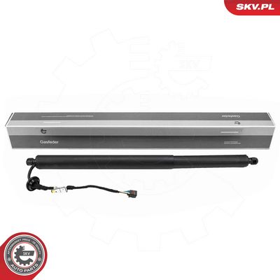 Электромотор, задняя дверь ESEN SKV 52SKV172