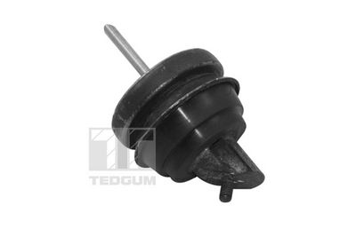 Piekare, Dzinējs TEDGUM TED11497
