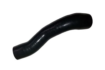 Pūtes sistēmas gaisa caurule BUGIAD 88583