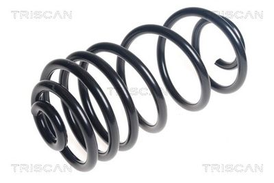 Balstiekārtas atspere TRISCAN 875 028 313