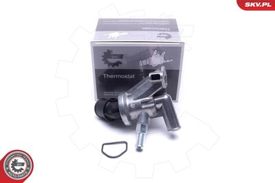 Termostats, Dzesēšanas šķidrums ESEN SKV 20SKV214