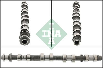 Распредвал Schaeffler INA 428 0197 10
