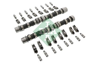Комплект распредвала Schaeffler INA 428 0030 30