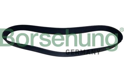 Поликлиновой ремень Borsehung B12504
