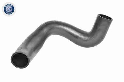 Radiatora cauruļvads VAICO V25-2291