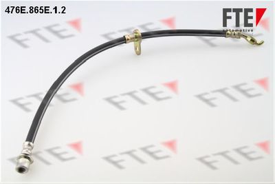 Тормозной шланг FTE 9240681