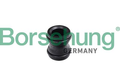 Ступица, водяной насос BORSEHUNG B11991