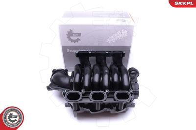Модуль впускной трубы ESEN SKV 49SKV002