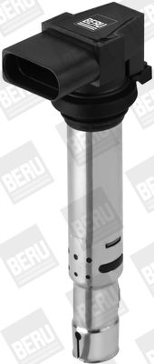 Aizdedzes spole BorgWarner (BERU) ZSE138