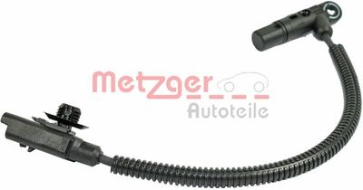  METZGER 0903202