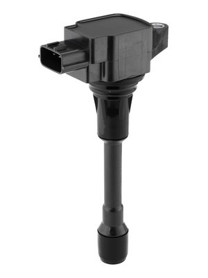 Aizdedzes spole BorgWarner (BERU) ZSE302