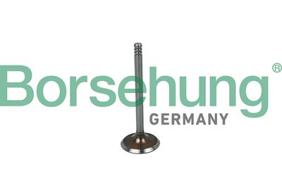Впускной клапан BORSEHUNG B19016