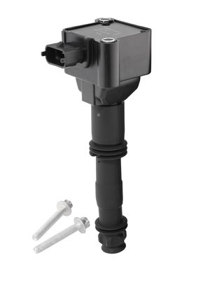 Катушка зажигания BorgWarner (BERU) ZS178