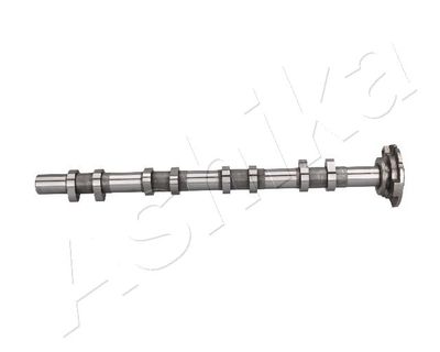 Sadales vārpsta ASHIKA 16FO002