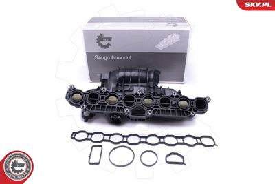 Модуль впускной трубы ESEN SKV 49SKV030