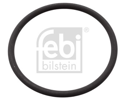 Blīve, Degvielas augstspiediena sūknis FEBI BILSTEIN 106582