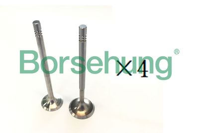 Ieplūdes vārsts Borsehung B18193