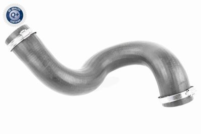 Pūtes sistēmas gaisa caurule VAICO V42-0590