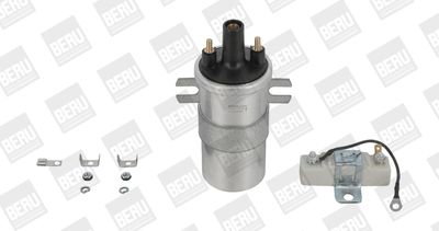 Катушка зажигания BorgWarner (BERU) ZS567