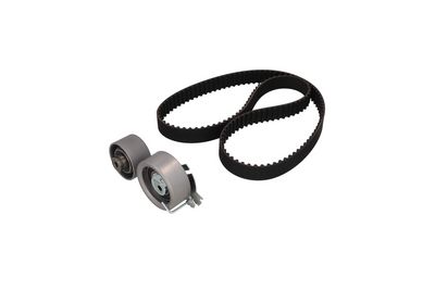 Комплект ремня ГРМ KAMOKA 7001053