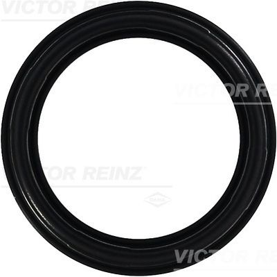 Blīve, Motora bloka galvas vāks VICTOR REINZ 71-35659-00