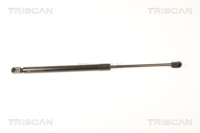 Gāzes atspere, Bagāžas/Kravas nodalījuma vāks TRISCAN 8710 29287