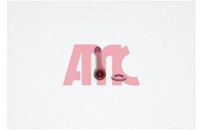 Комплект болтов головки цилидра AMC 258512