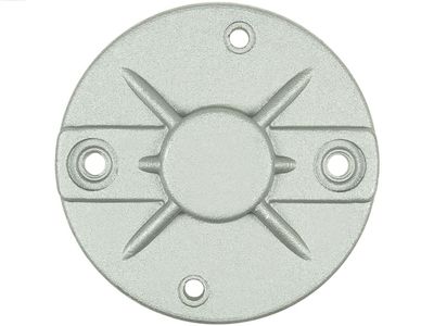 Крышка стартера, карбюратор AS-PL SBR2005