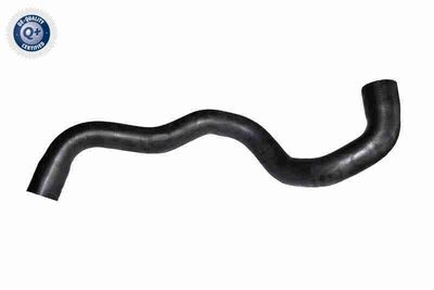 Radiatora cauruļvads VAICO V10-7562