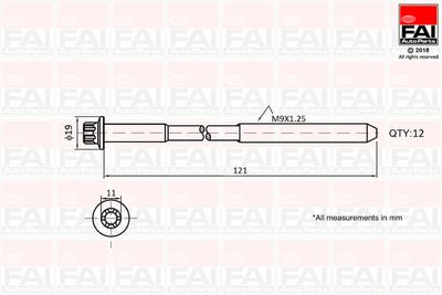 Комплект болтов головки цилидра FAI AUTOPARTS B1630