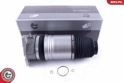 Pneimoatspere, Balstiekārta ESEN SKV 58SKV046